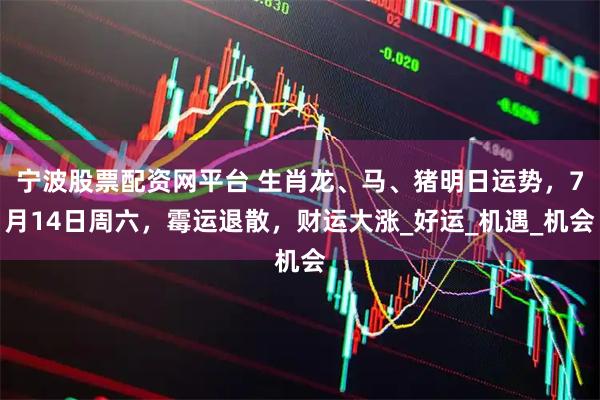 宁波股票配资网平台 生肖龙、马、猪明日运势，7月14日周六，霉运退散，财运大涨_好运_机遇_机会